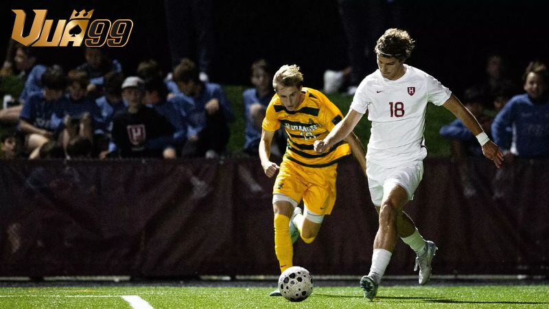 Dấu hiệu nhận biết kèo “an toàn” khi chơi kèo 2.25