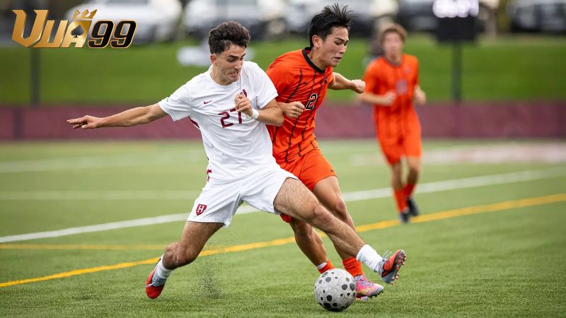 Kinh nghiệm chơi kèo 2.25 từ dân sành kèo