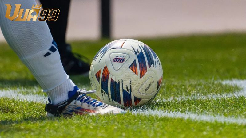 Mẹo soi kèo tài xỉu 2 1/2 của dân chơi chuyên nghiệp