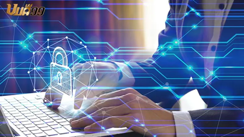 Nguyên tắc thu thập và sử dụng thông tin tại Vua99