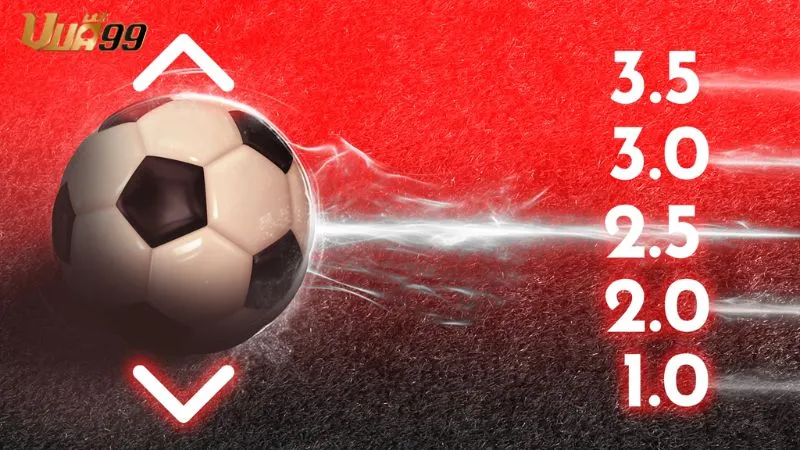 Phân tích cơ bản trước khi đặt cược kèo tài xỉu