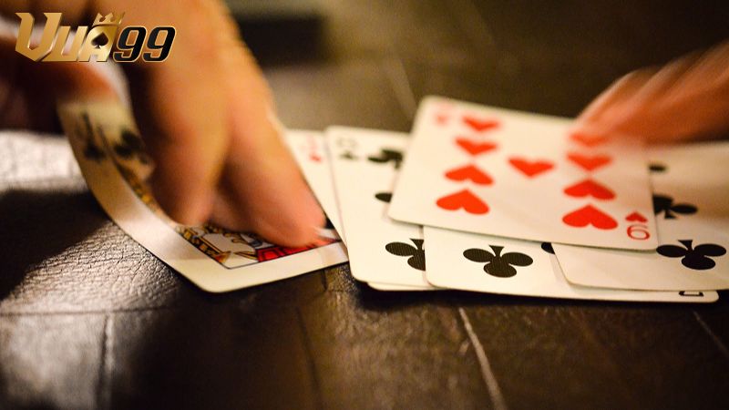 Vì sao nên chọn Vua99 để chơi Cát tê?